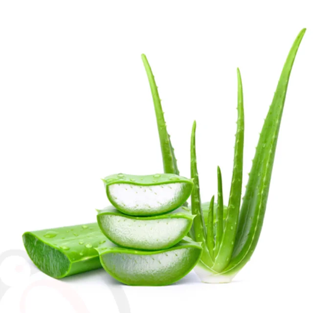 Aloe vera powder (50gm) - image 1