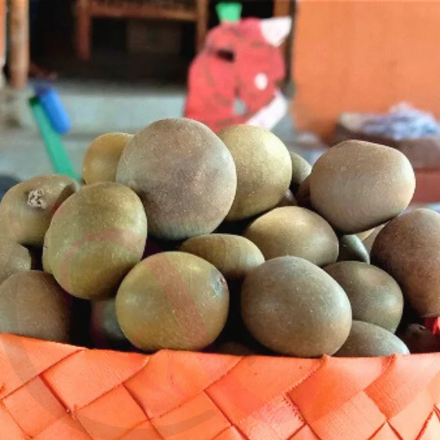 Kalarchikai / Fevernut - image 1