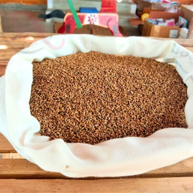 Omam / Ajwain - image 1