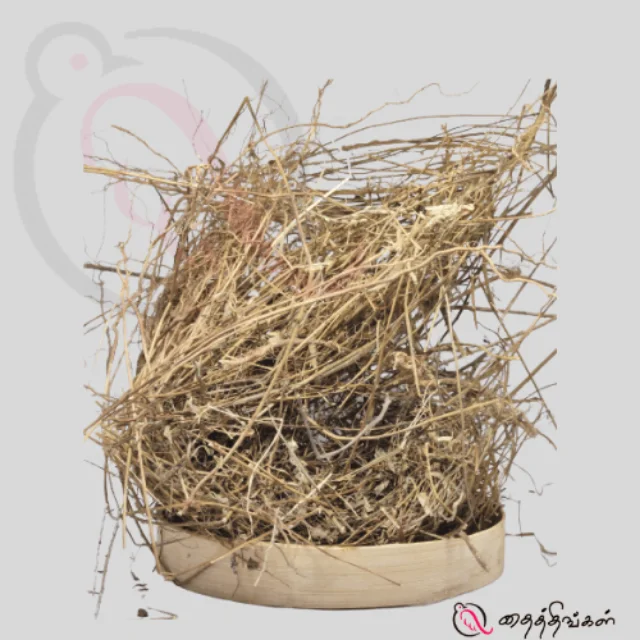 கீழாநெல்லி வேர் / ஸ்டோன்பிரேக்கர் வேர் - image 1