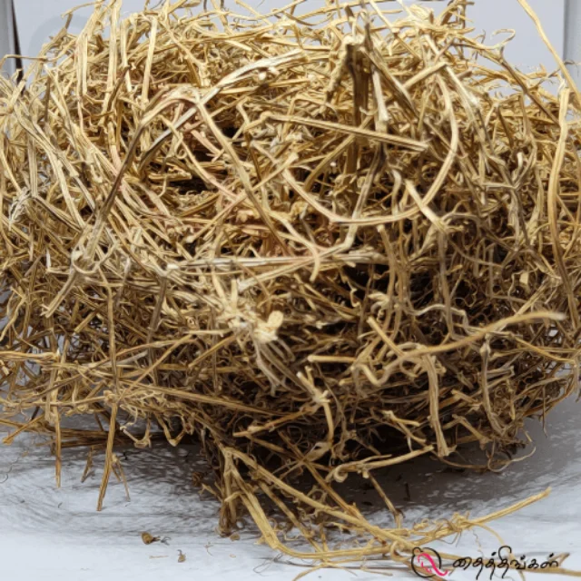 பேய்புடல் வேர் / அதிசய வேர் - image 1