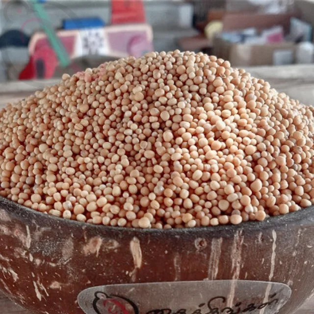 வெள்ளை கடுகு - image 1