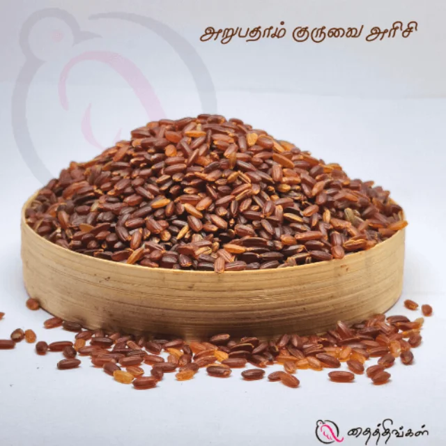 ARUBATHAM KURUVAI RICE - 1KGThingal Essentials LLP ARUBATHAM KURUVAI RICE - 1KGThingal Essentials LLP