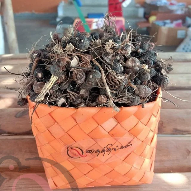 Nut Grass powder (50gm) - image 1