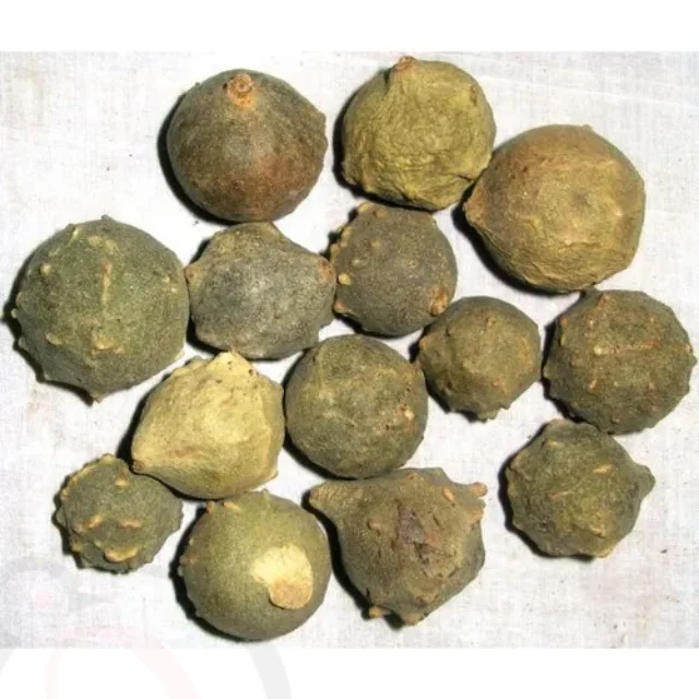 Masikkai Powder / Bluejack Powder (25gm) - image 1