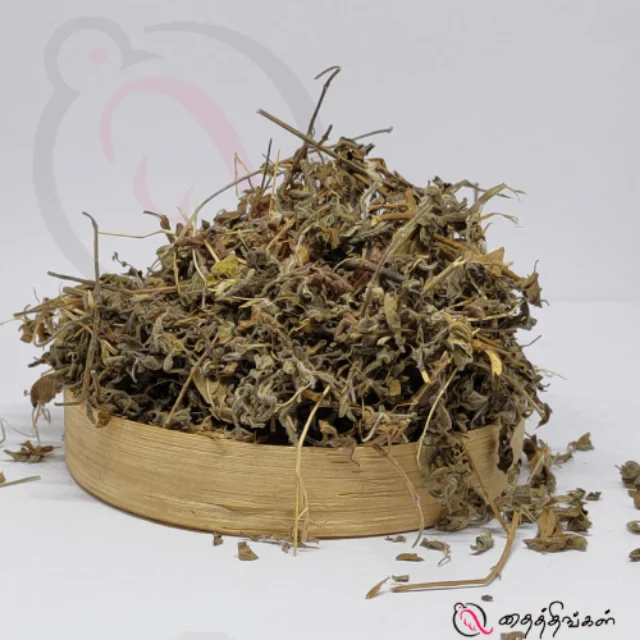 Ular Thulasi ilai / Dried Basil Leaf - image 1