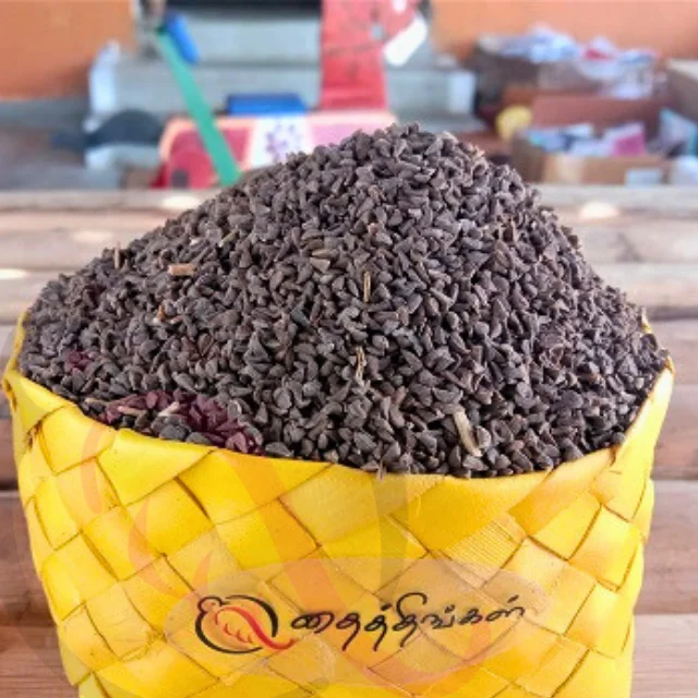 Psoralea corylifolia / Karpoga Arisi - image 1