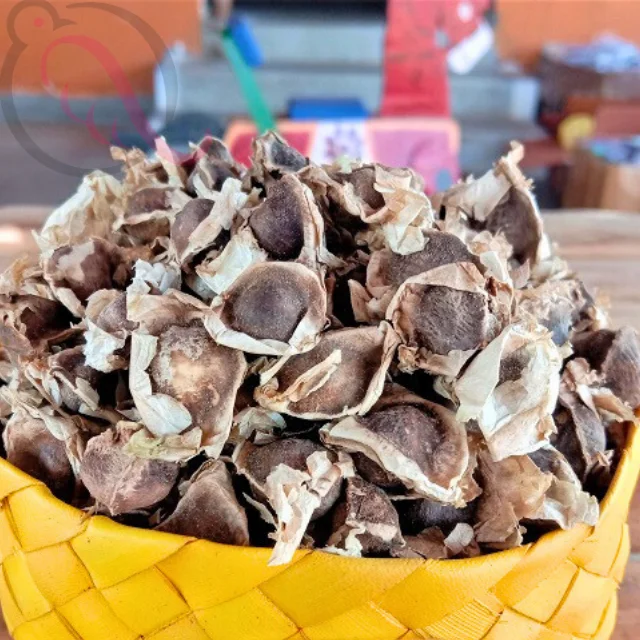 Murungai Seed / Moringa Tree Seed - image 1
