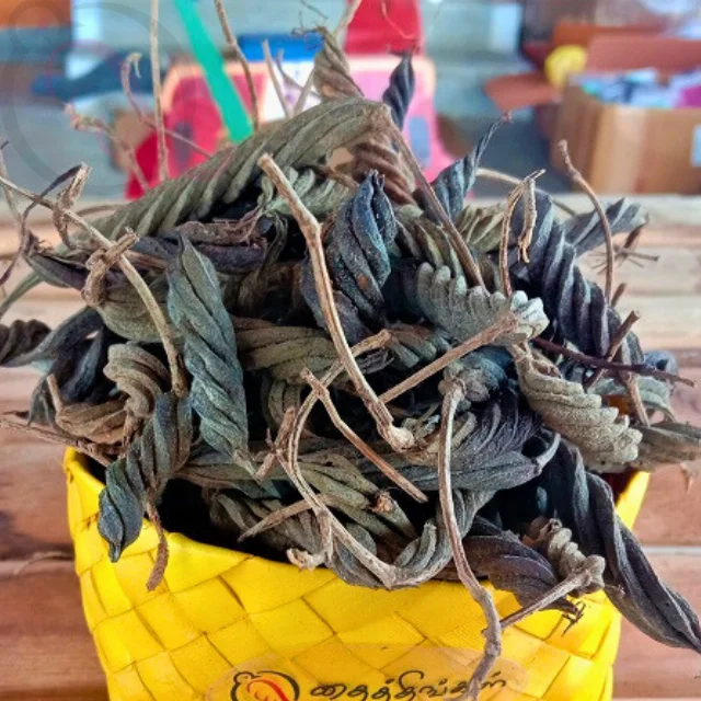 INDIAN SCREW TREE / valampuri - image 1