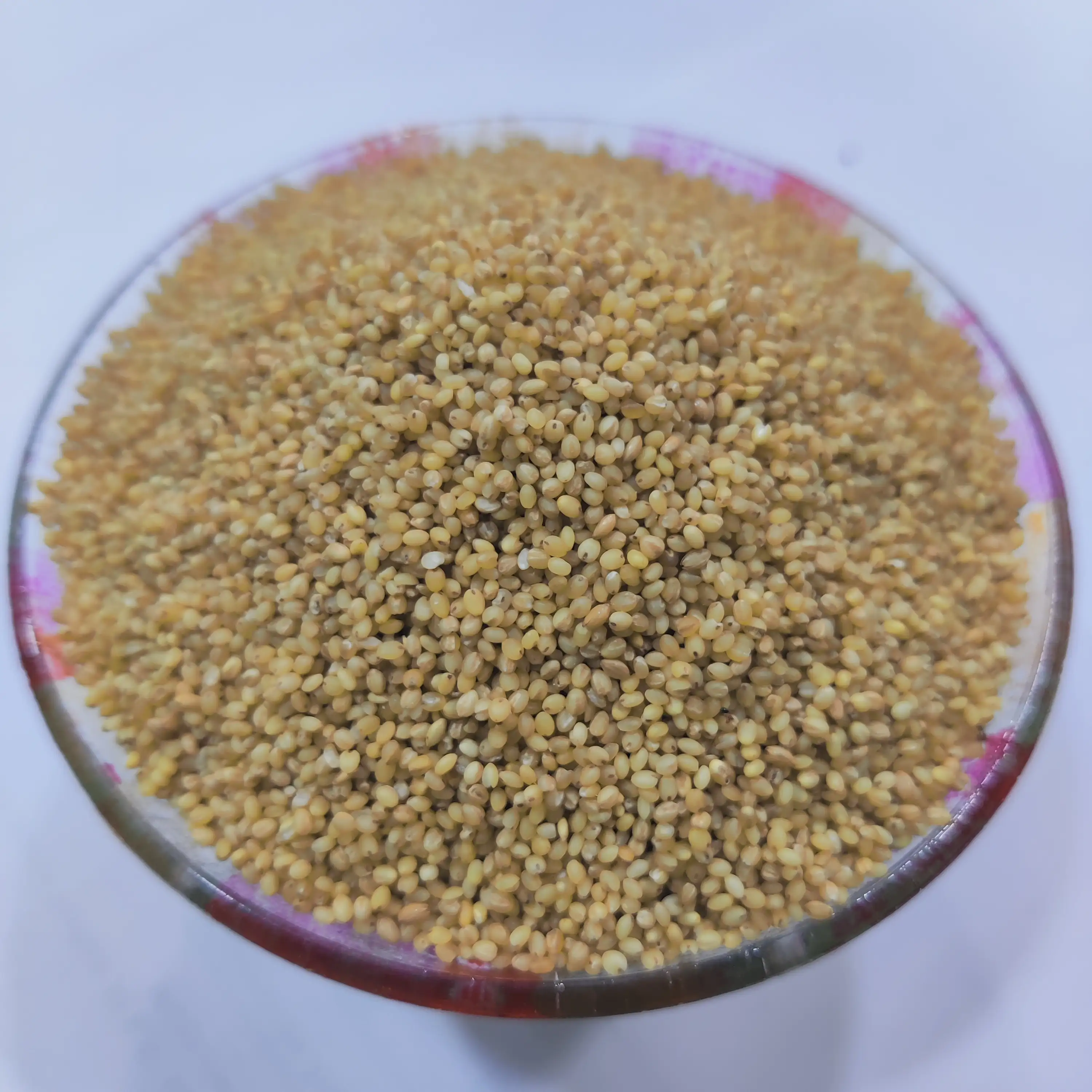 Thinai Millets - image 1