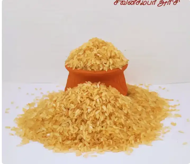 Sivan Samba Rice 500gm - image 1