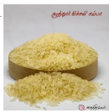 ATTUR KICHALI RICE 500gm - image 1