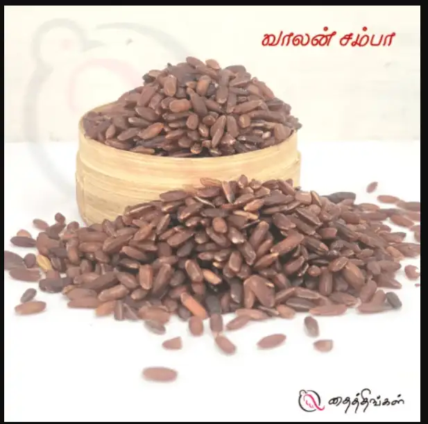 VALAN SAMBA RICE 500GM - image 1