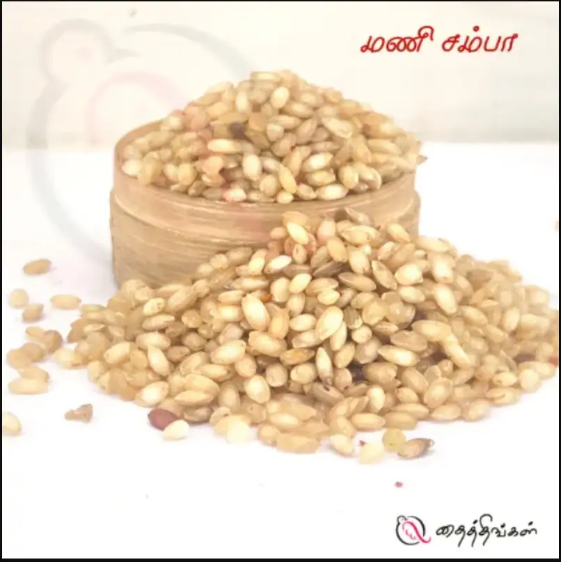 MANI SAMBA RICE 500gm - image 1